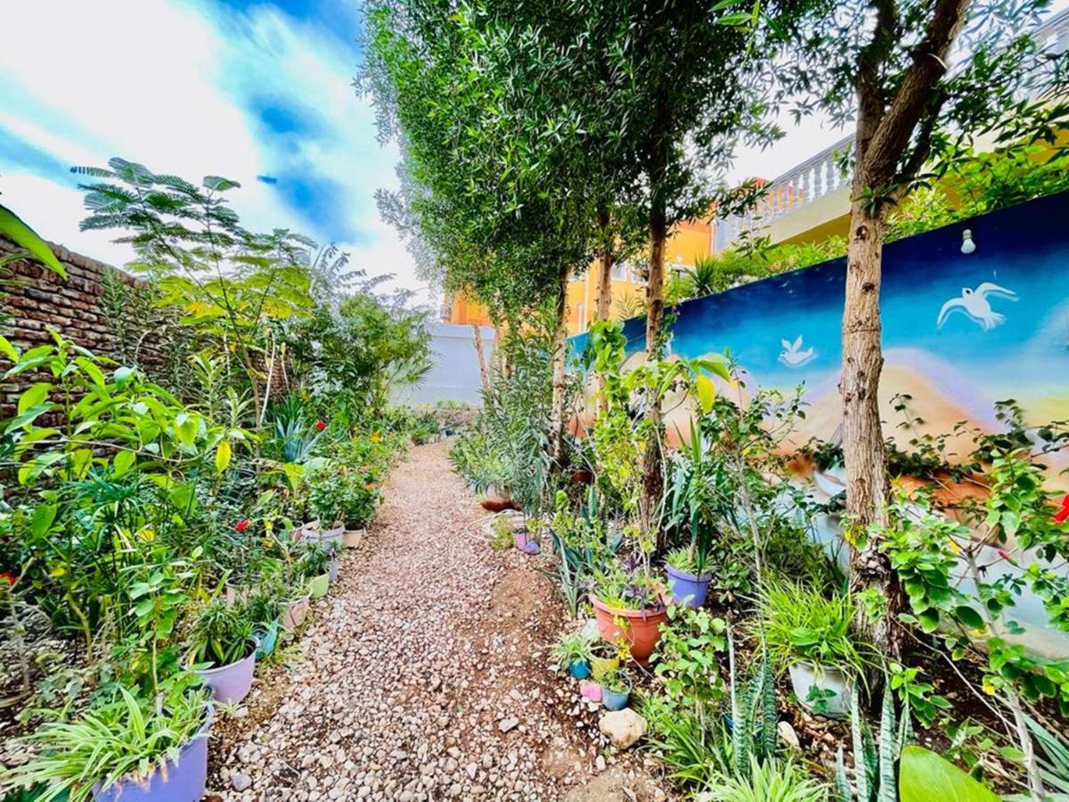 Luxor Nile View Flats Apartment ภายนอก รูปภาพ